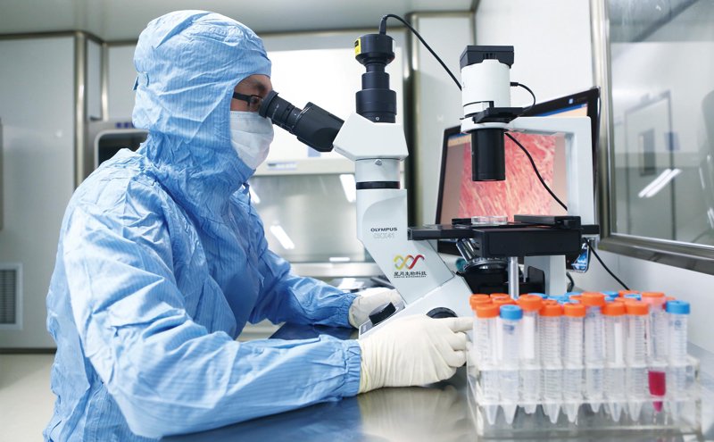 生物科技公司的崛起:一场生命科学与商业的盛宴