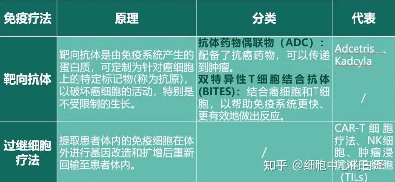 细胞培养技术:从零到一的探索之旅