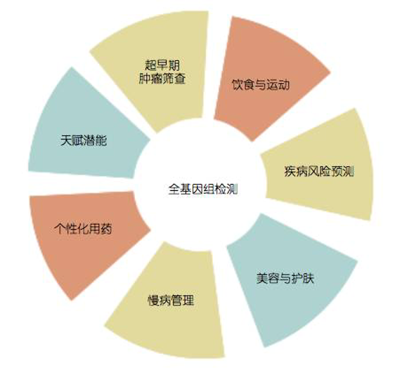 细胞培养：揭开生命科学研究的神秘面纱