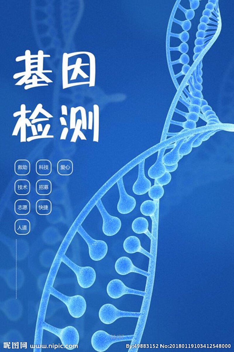 抗体定制:探索生命科学的奥秘